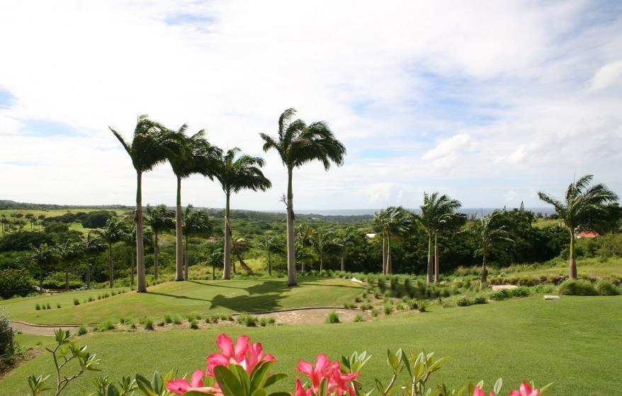 Coconut Grove 8 Luxury Villa By Island Villas Saint James Room photo